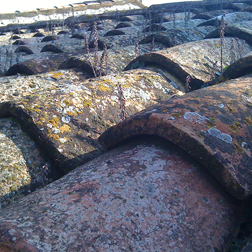 Roof treatments