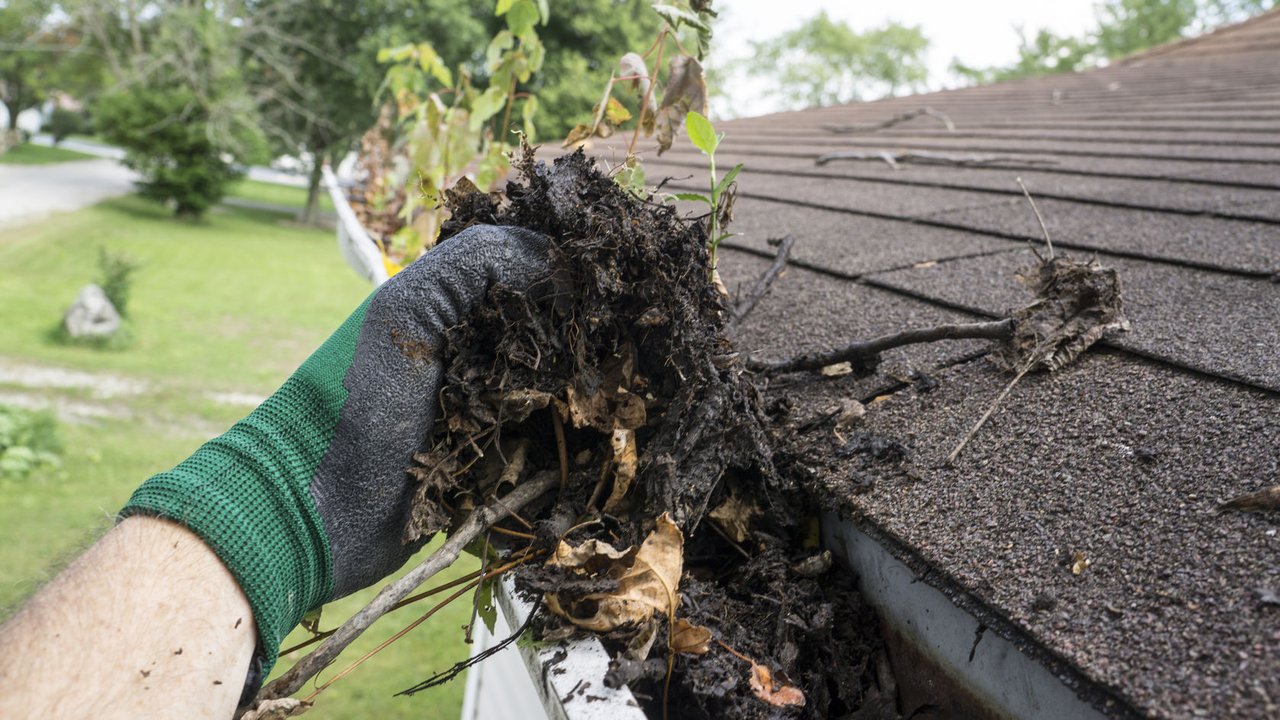 Long Island Professional Gutter Cleaning Services