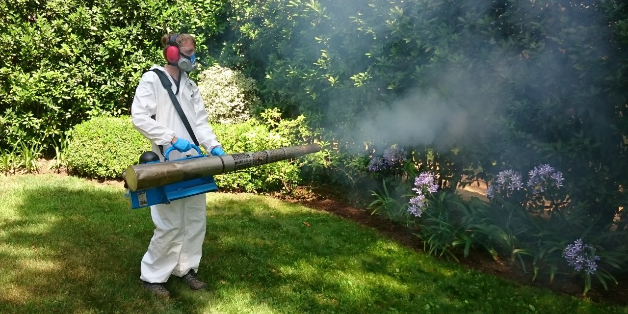 Désinsectisation : Eliminer Moustiques, Mouches, Moucherons Vaucluse - HTE  Sanitation